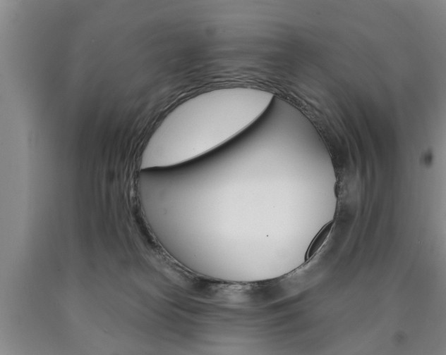 X0000090860182200707270941