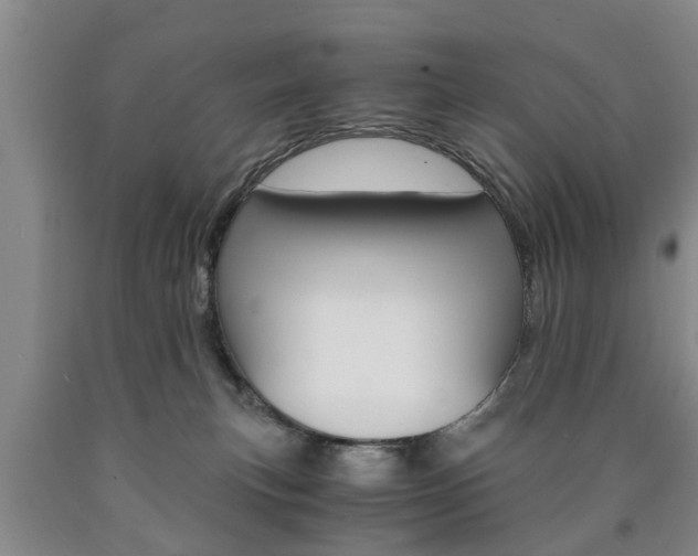 X0000090860183200707270941