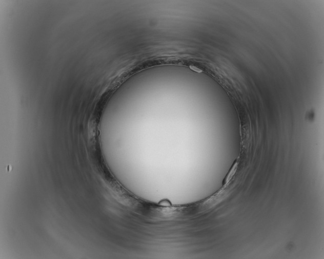 X0000090860184200707270941