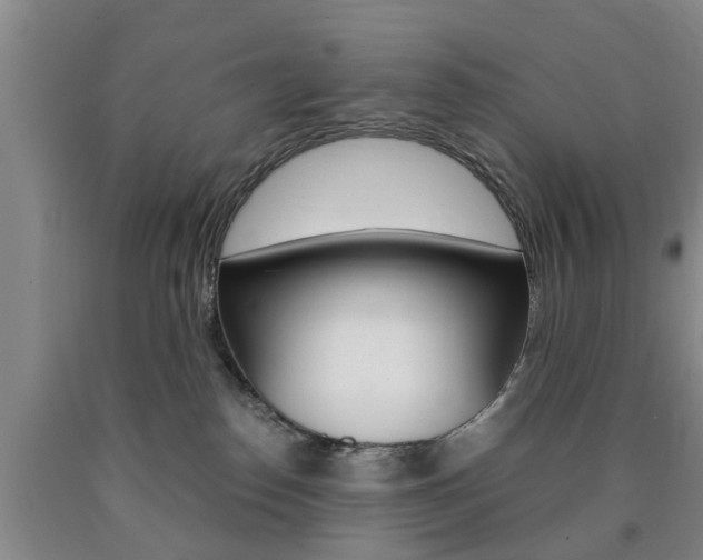 X0000090860186200707270941