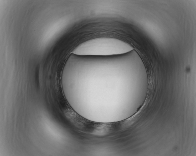 X0000090860191200707270941