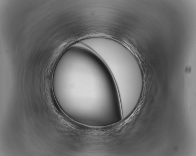 X0000090860193200707270940