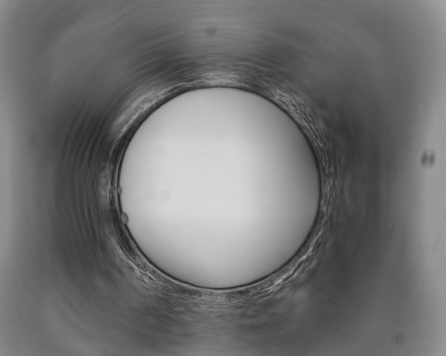 X0000090860194200707270940