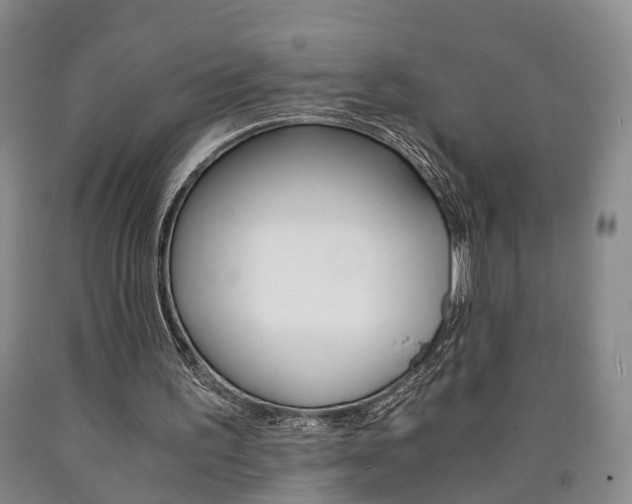 X0000090860195200707270940