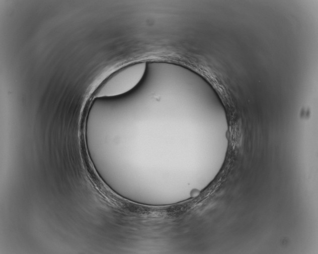 X0000090860196200707270940