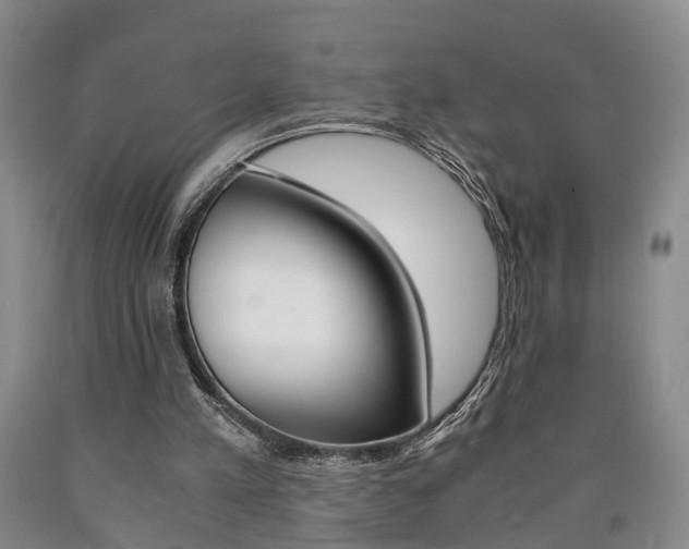 X0000090860197200707270940