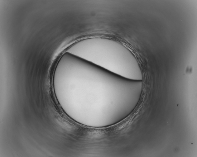 X0000090860198200707270940