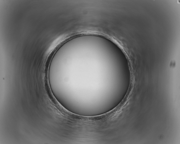 X0000090860199200707270940
