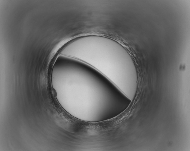 X0000090860200200707270940