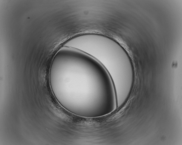 X0000090860201200707270940