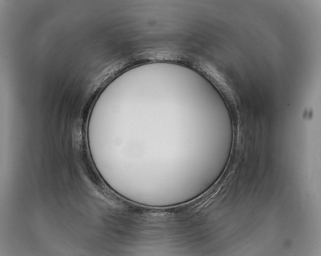 X0000090860202200707270940