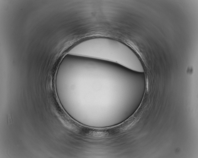 X0000090860205200707270940