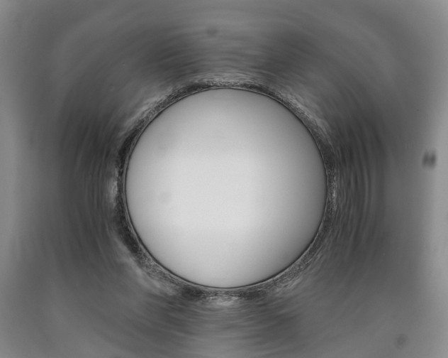 X0000090860206200707270940