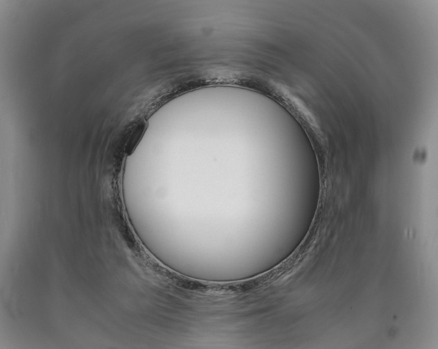 X0000090860209200707270940