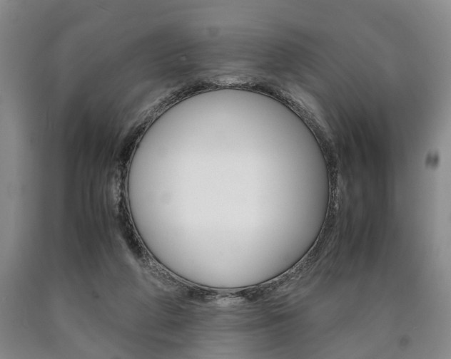 X0000090860210200707270940