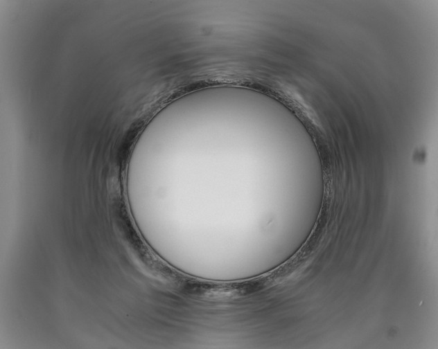 X0000090860213200707270940