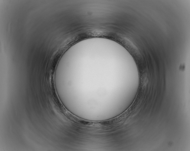 X0000090860214200707270940