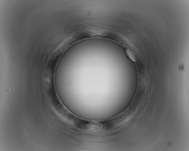 X0000090860215200707270940