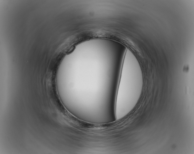 X0000090860217200707270940