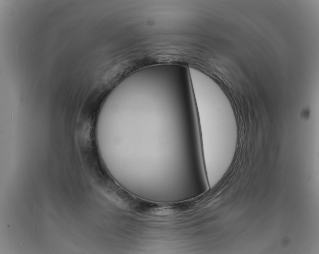 X0000090860219200707270940