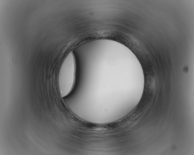 X0000090860220200707270940
