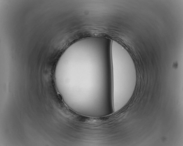 X0000090860221200707270940