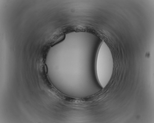 X0000090860223200707270940