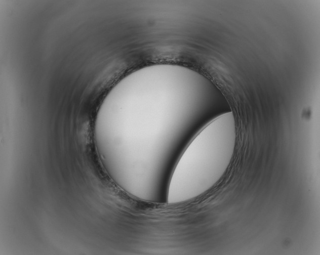 X0000090860224200707270940