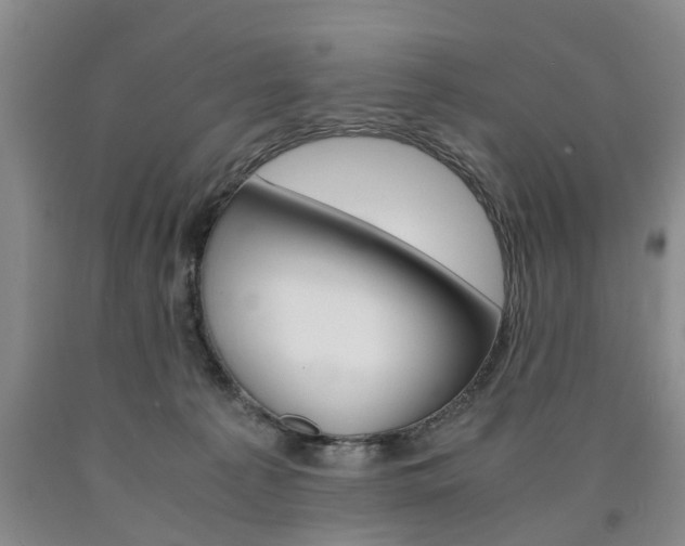 X0000090860225200707270940