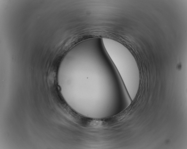 X0000090860227200707270940