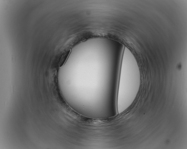 X0000090860229200707270940
