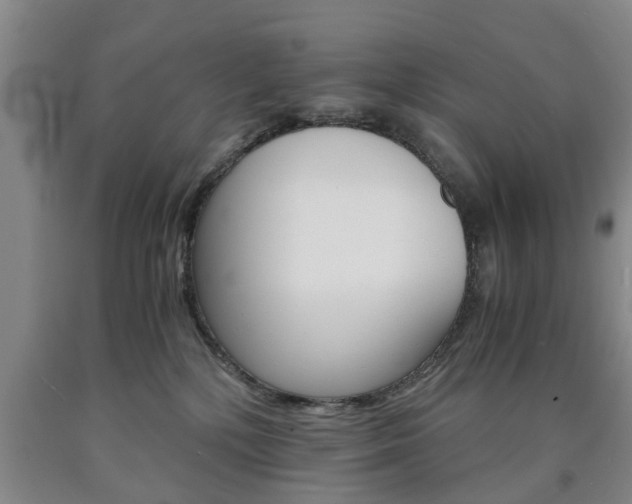 X0000090860232200707270940