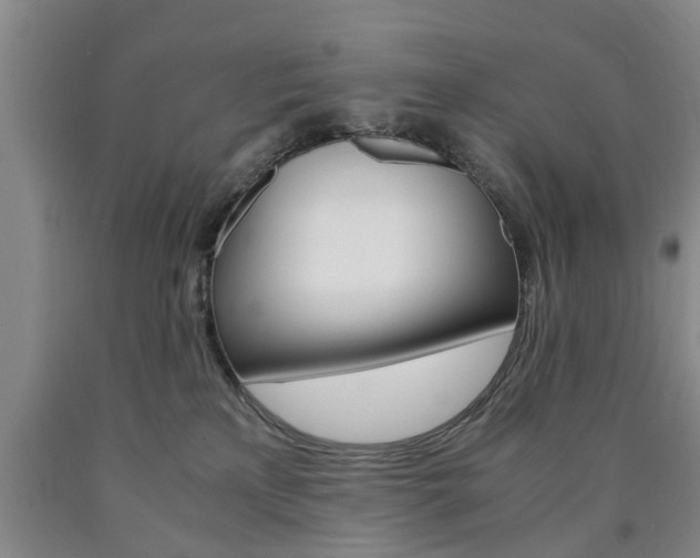 X0000090860233200707270940