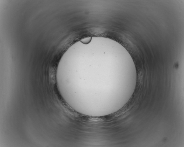 X0000090860234200707270940