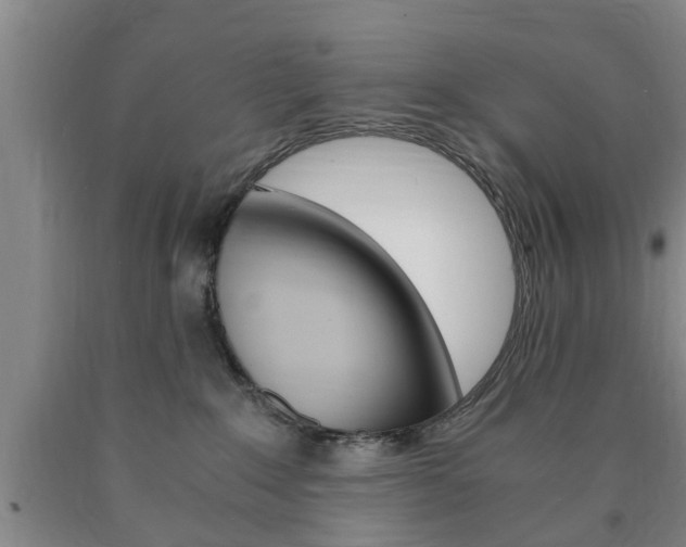 X0000090860235200707270940