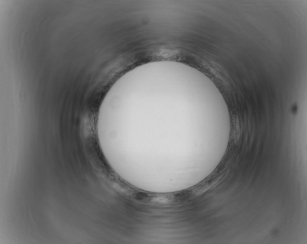 X0000090860236200707270940