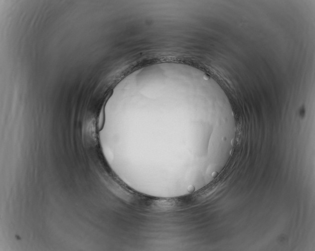 X0000090860238200707270940