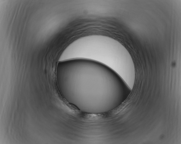 X0000090860239200707270940