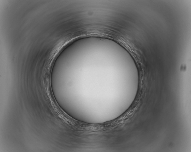 X0000090860241200707270939