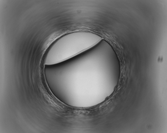 X0000090860242200707270939