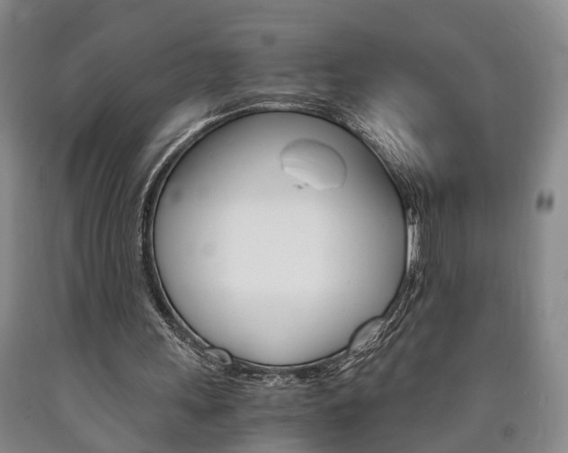 X0000090860243200707270939