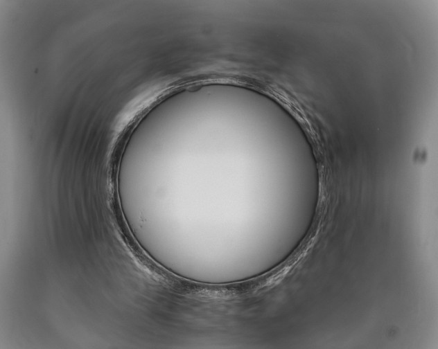 X0000090860245200707270939