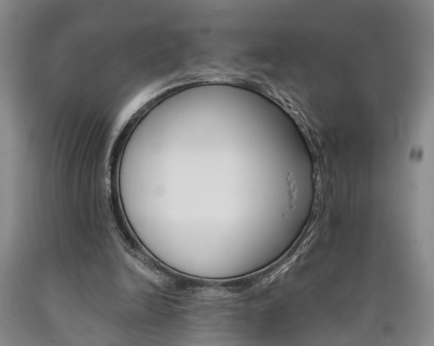 X0000090860246200707270939