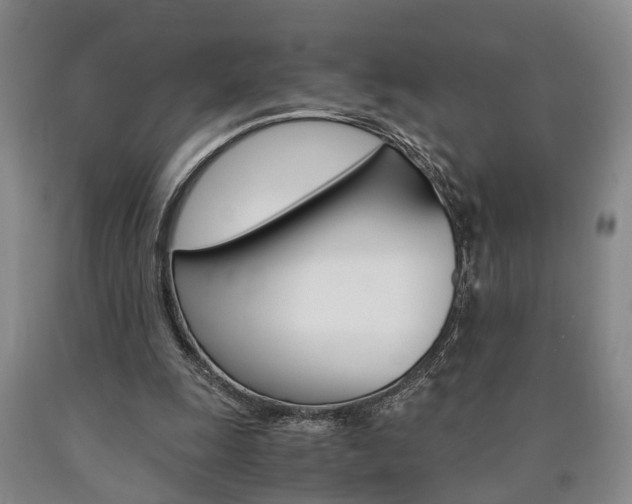 X0000090860247200707270939