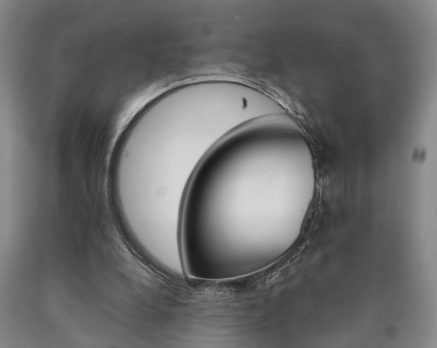X0000090860248200707270939