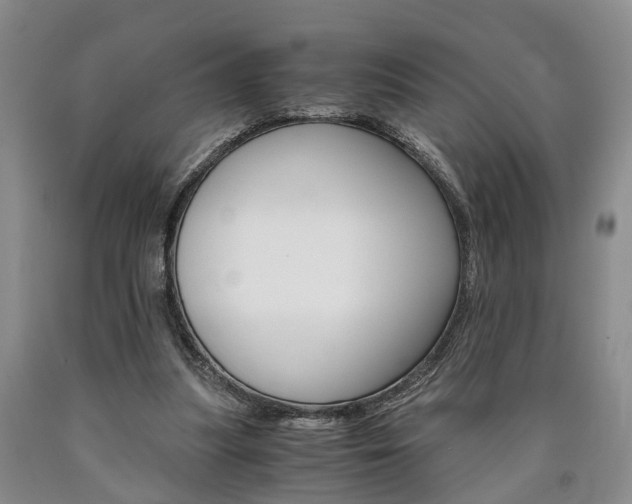 X0000090860251200707270939