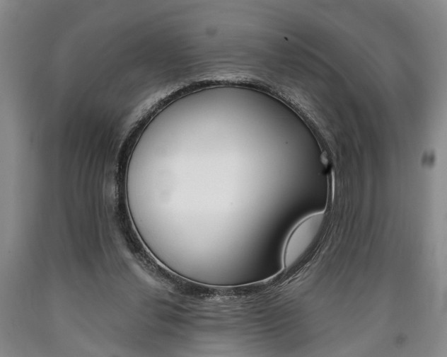 X0000090860252200707270939