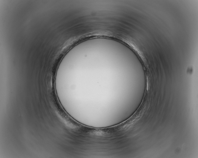 X0000090860253200707270939