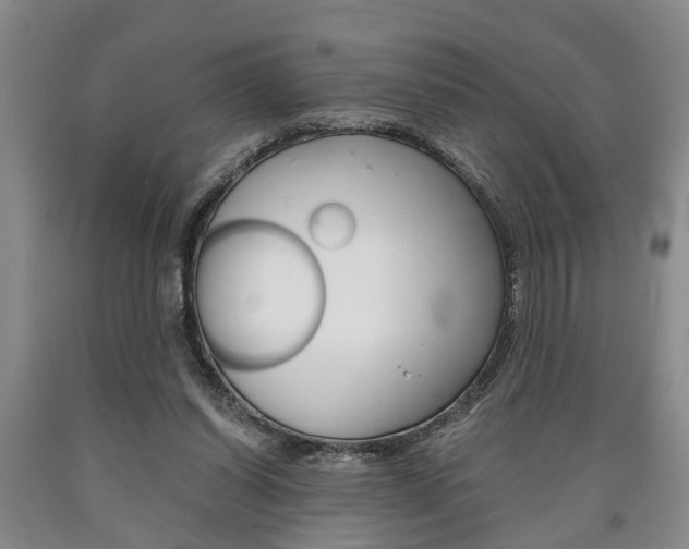 X0000090860254200707270939