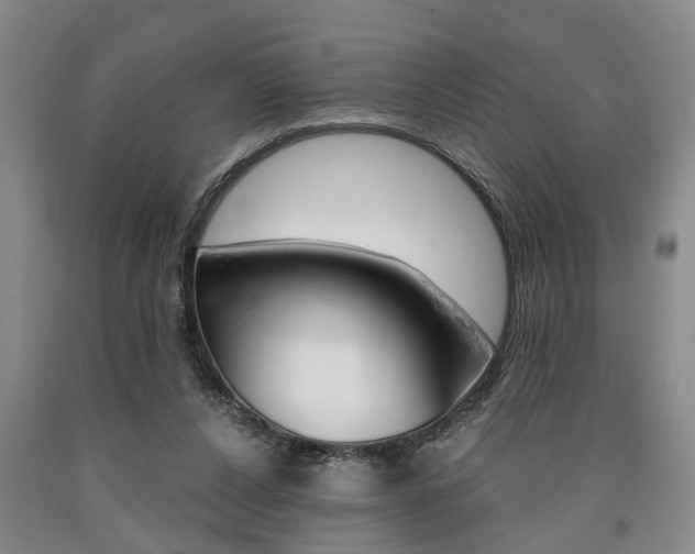 X0000090860256200707270939